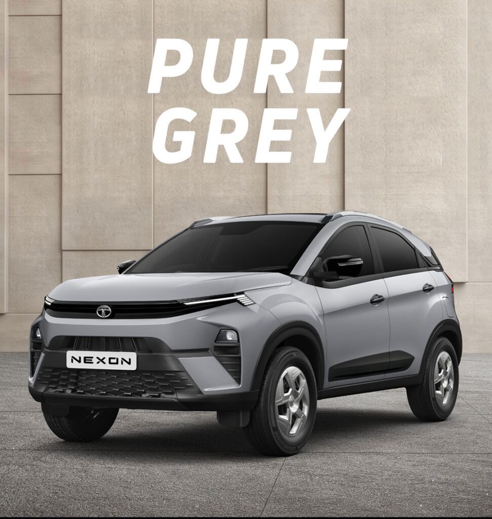 Pure Grey M Color 971x1024